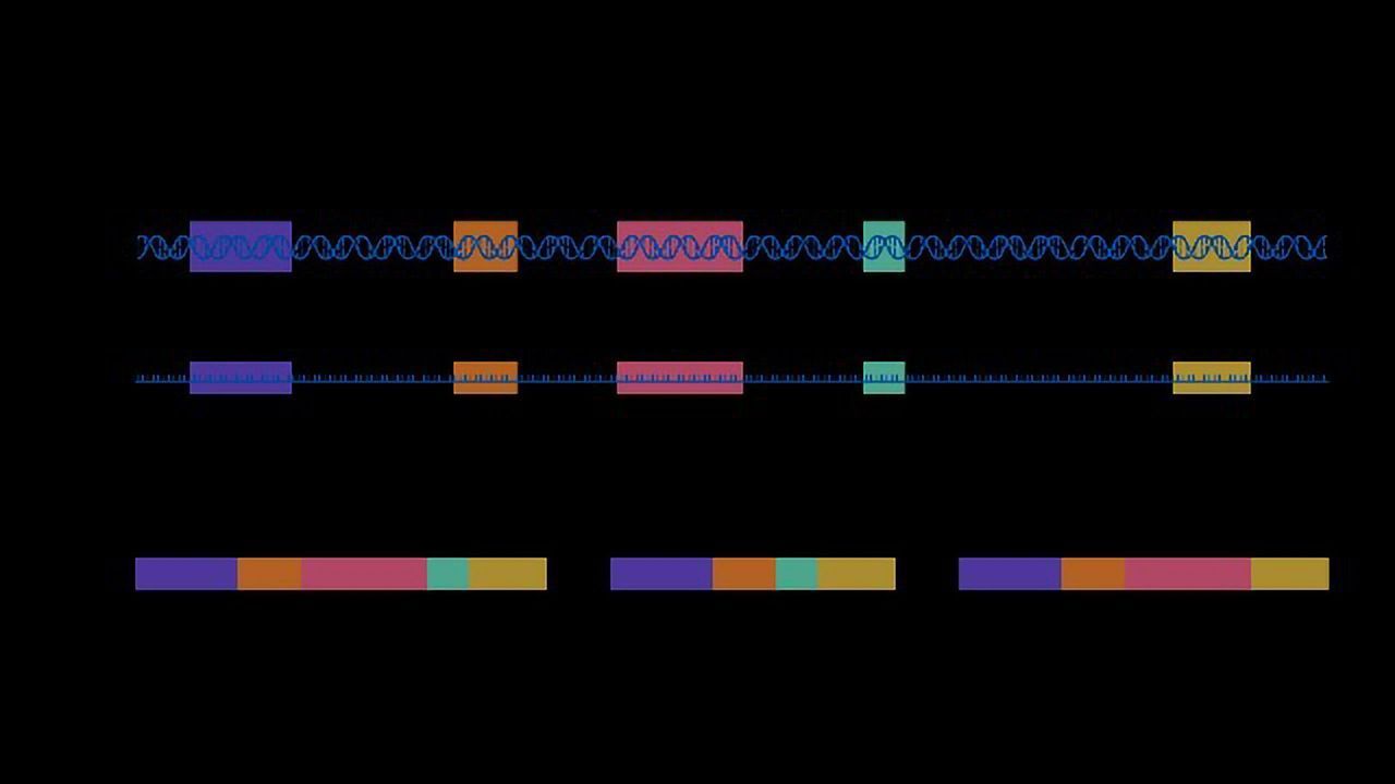 Alternative Splicing: Importance and Definition