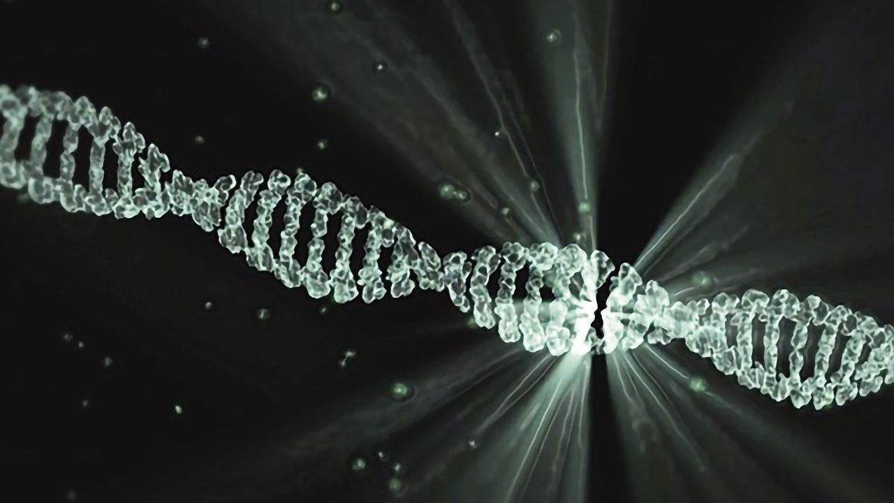 Humanized Mice: Generation, Advantages and Applications