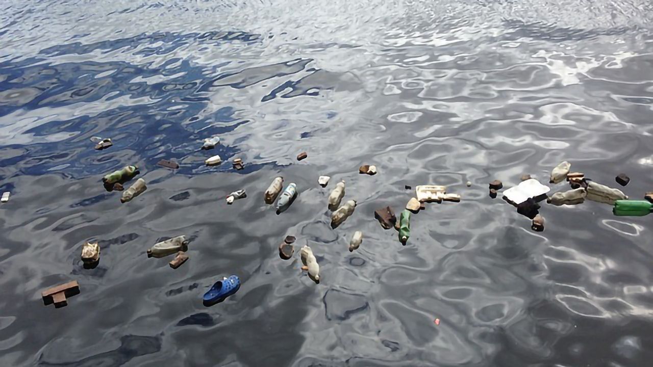 Metals Hitch a Ride on Microplastic Pollutants