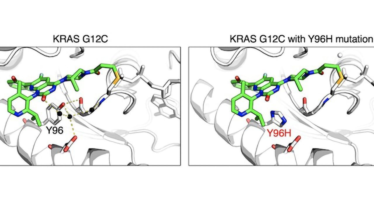 Using Viruses To Discover Cancer Drug Resistance Mutations
