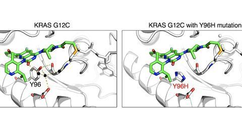 Using Viruses To Discover Cancer Drug Resistance Mutations