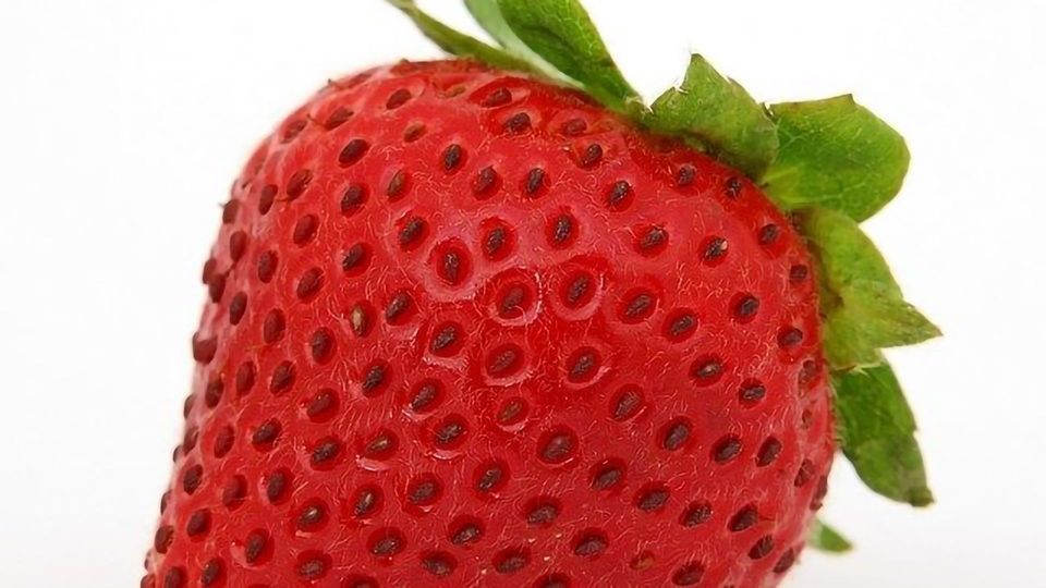Can We Preserve a Strawberry Forever? content piece image