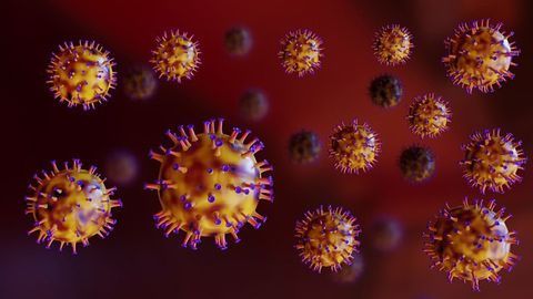 New Platform Quickly Identifies Mutations in the SARS-CoV-2 Virus
