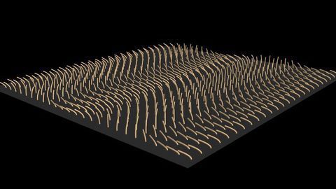 New Model of Beating Cilia Developed