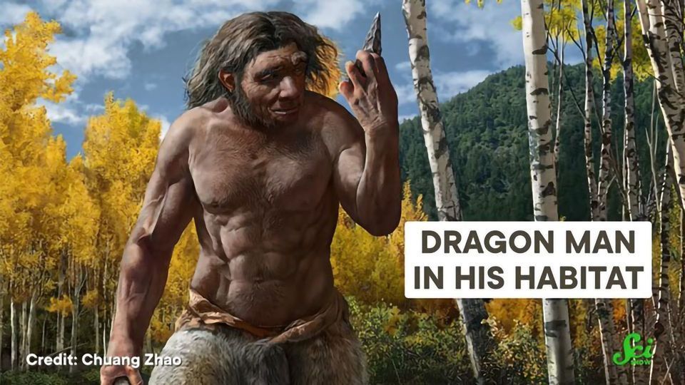 Meet Dragon Man, Humans’ Possible New Relative content piece image