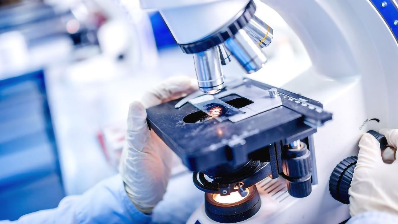 An Introduction to the Light Microscope, Light Microscopy Techniques and Applications