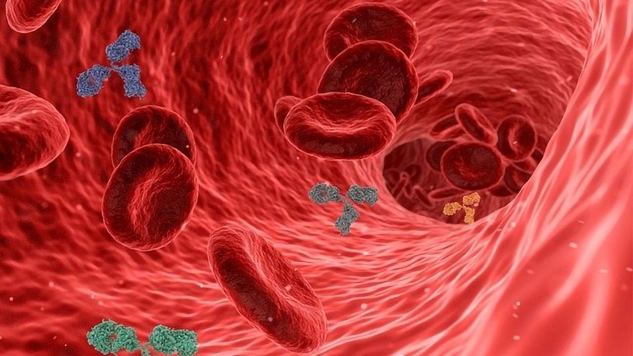 Tiny Tentacles Evade Our Immune Response