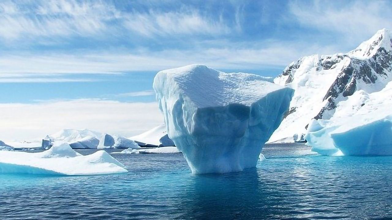Marine Bacteria Capable of Biodegrading Diesel and Oil Found in Canadian Arctic