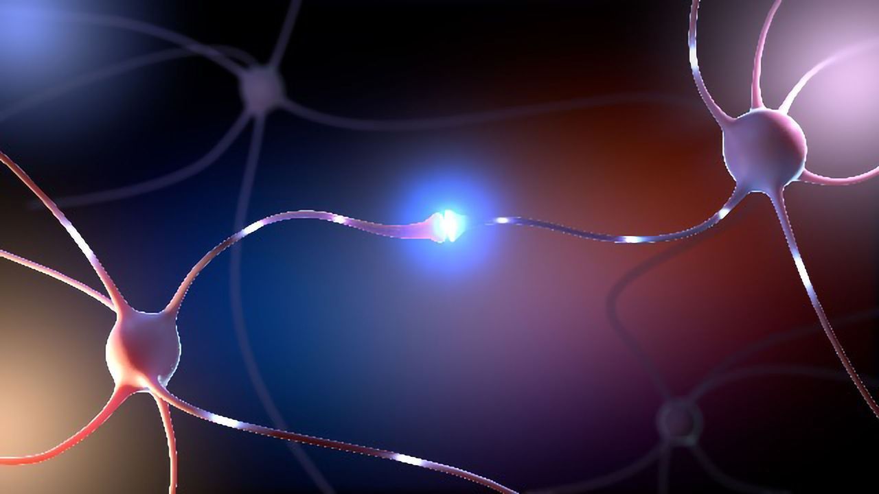 Brain Memory Signals Linked to Blood Sugar Levels