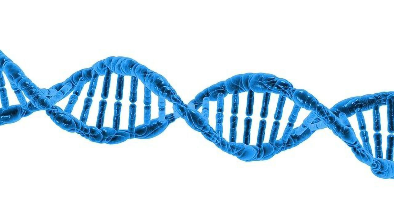 New Technique Measures “Stiffness” of DNA