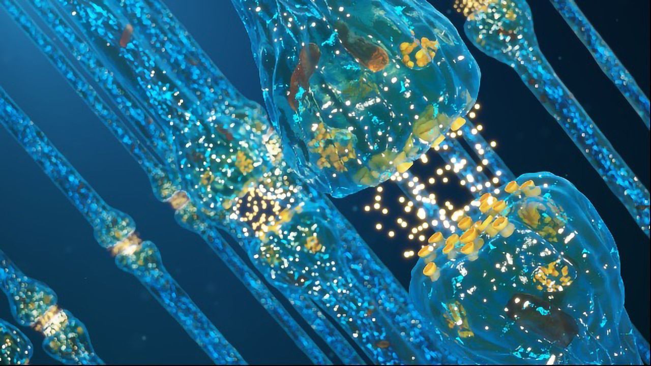 Ultrasound Technique Targeted at Neurons in Bid To Treat Chronic Pain