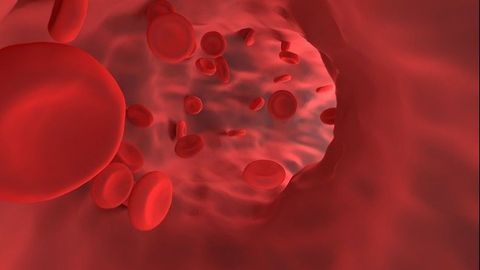 Red Blood Cell Defects May Contribute to Lupus