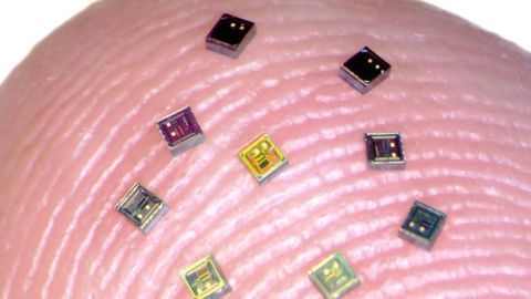 Tiny "Neurograins" Could Power Next Generation of Brain-Computer Interfaces