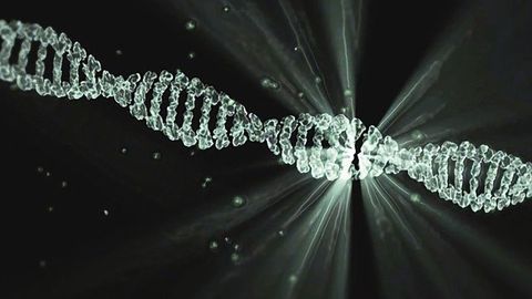 Nine Processes in Which Most Human Genetic Mutations Arise
