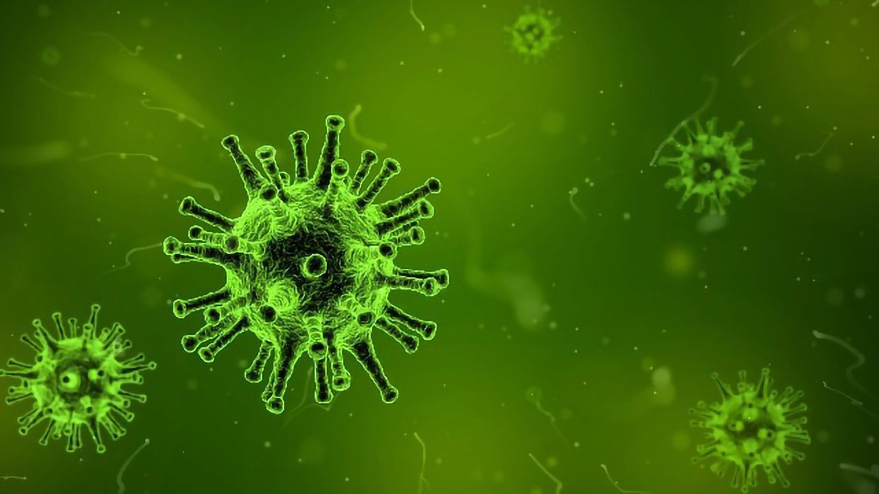 Simplified Sample Preparation Method Developed for SARS-CoV-2 Testing