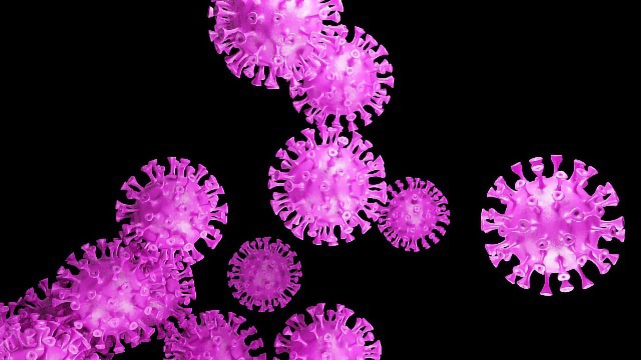 Sensitive, Speedy COVID-19 Test Developed