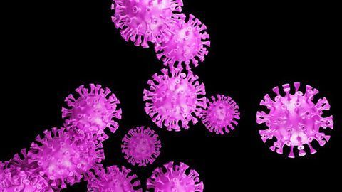 Sensitive, Speedy COVID-19 Test Developed