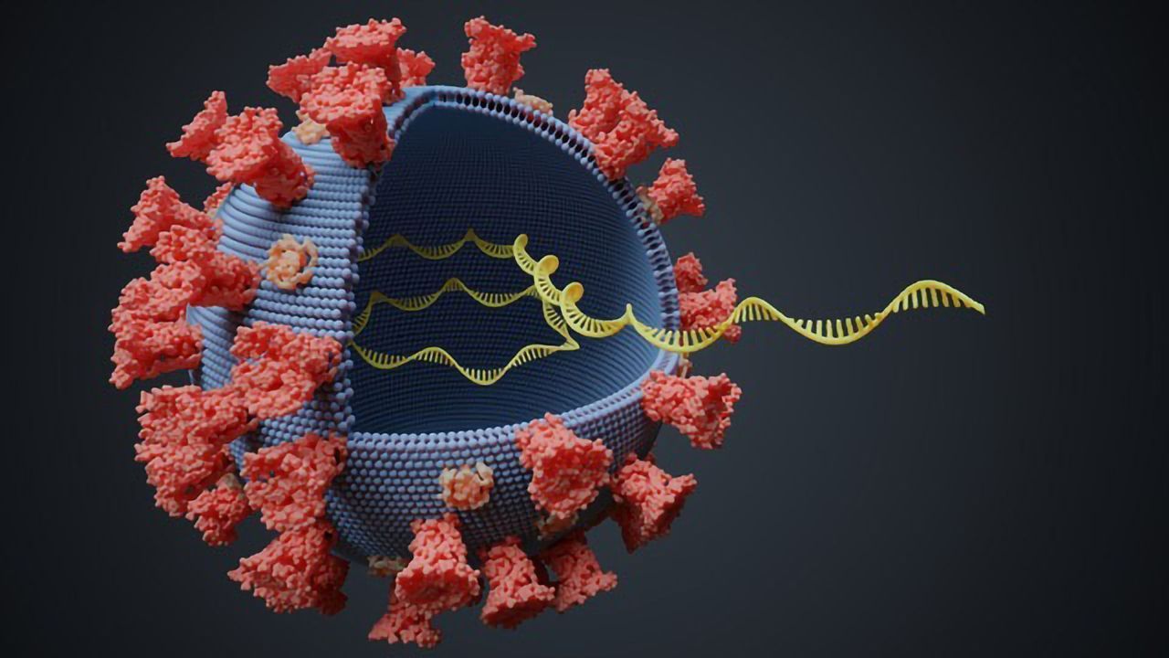 Antiviral Drug Incorporates RNA-Like Building Blocks Into SARS-CoV-2’s Genome