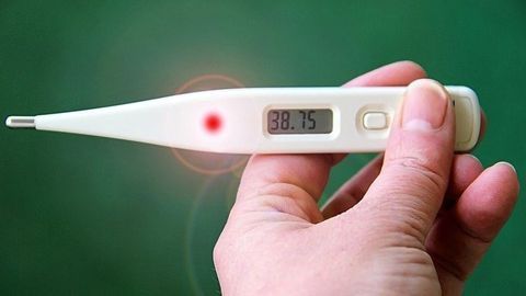 Malaria Parasite's Defenses Against Fever Revealed