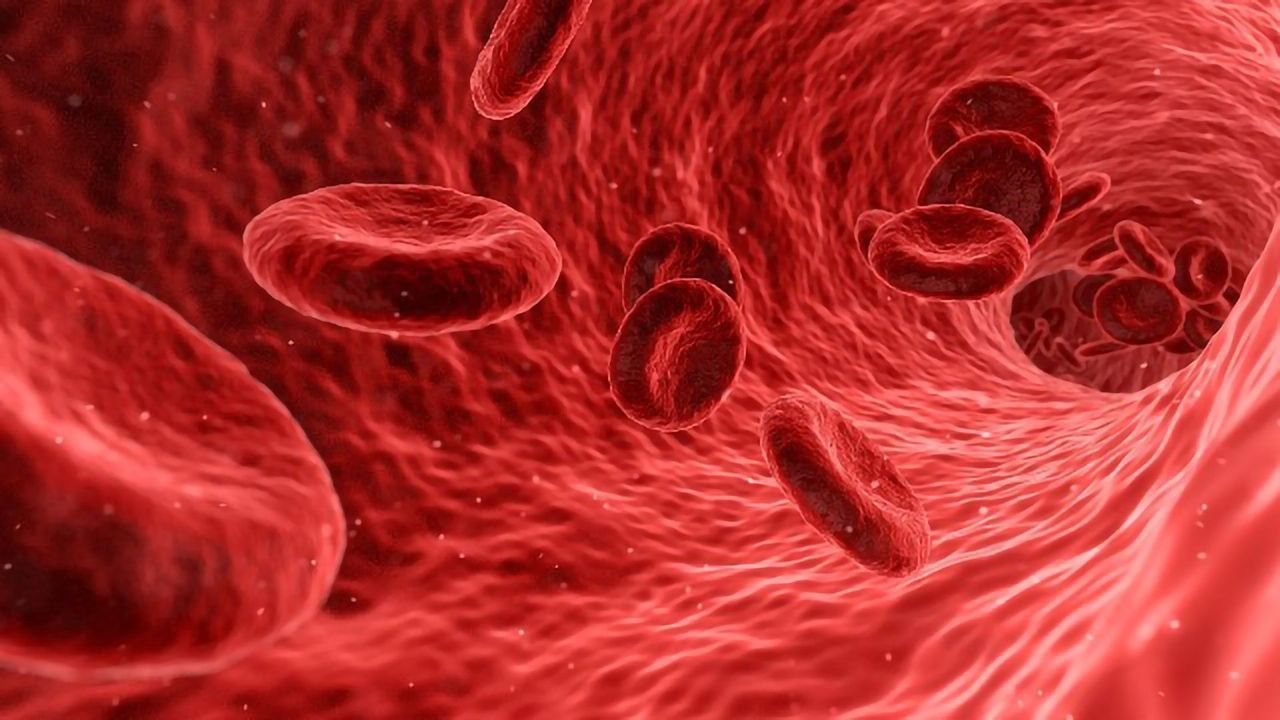 3D-Bioprinted Blood Vessel Developed