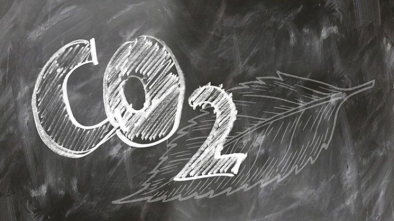 How Carbon Capture Works