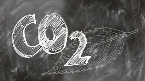 How Carbon Capture Works