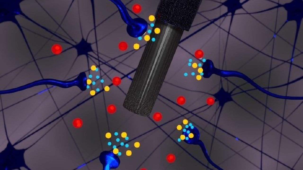 Histamine May Play Role in Depression