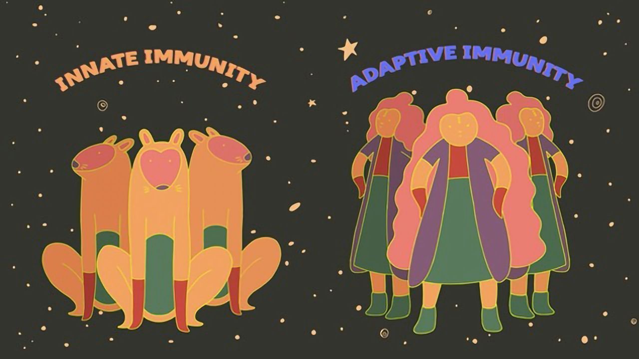 Can You Actually Boost Your Immune System? Here's The Truth