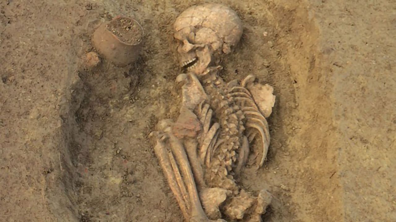 Genetic Histories and Social Organization in Neolithic and Bronze Age Croatia