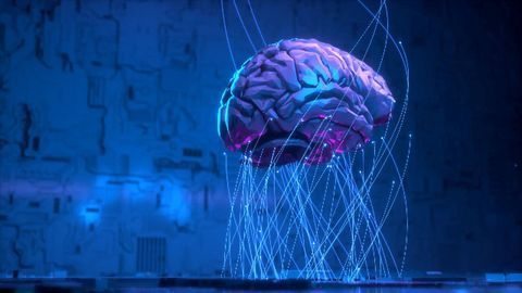 Brain Behavior Signals Decoded Using AI