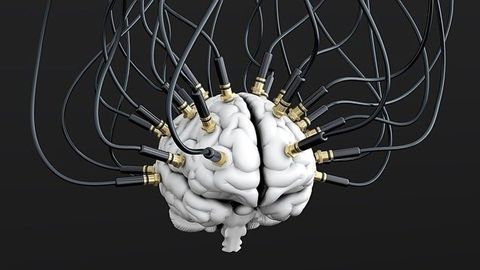 Changes in Brain Wiring Linked to Sex, Cognition and Age