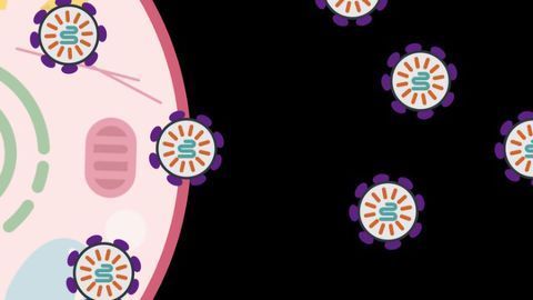 Human Protein Used To Deliver Molecular Therapies