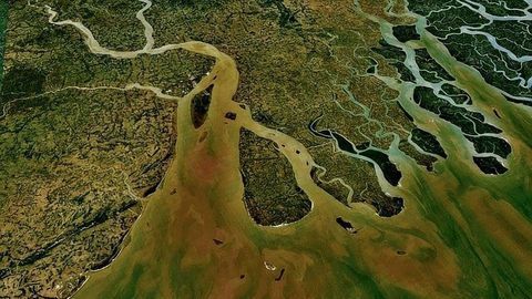 Rivers Are the Largest Global Source of Mercury Entering Our Oceans