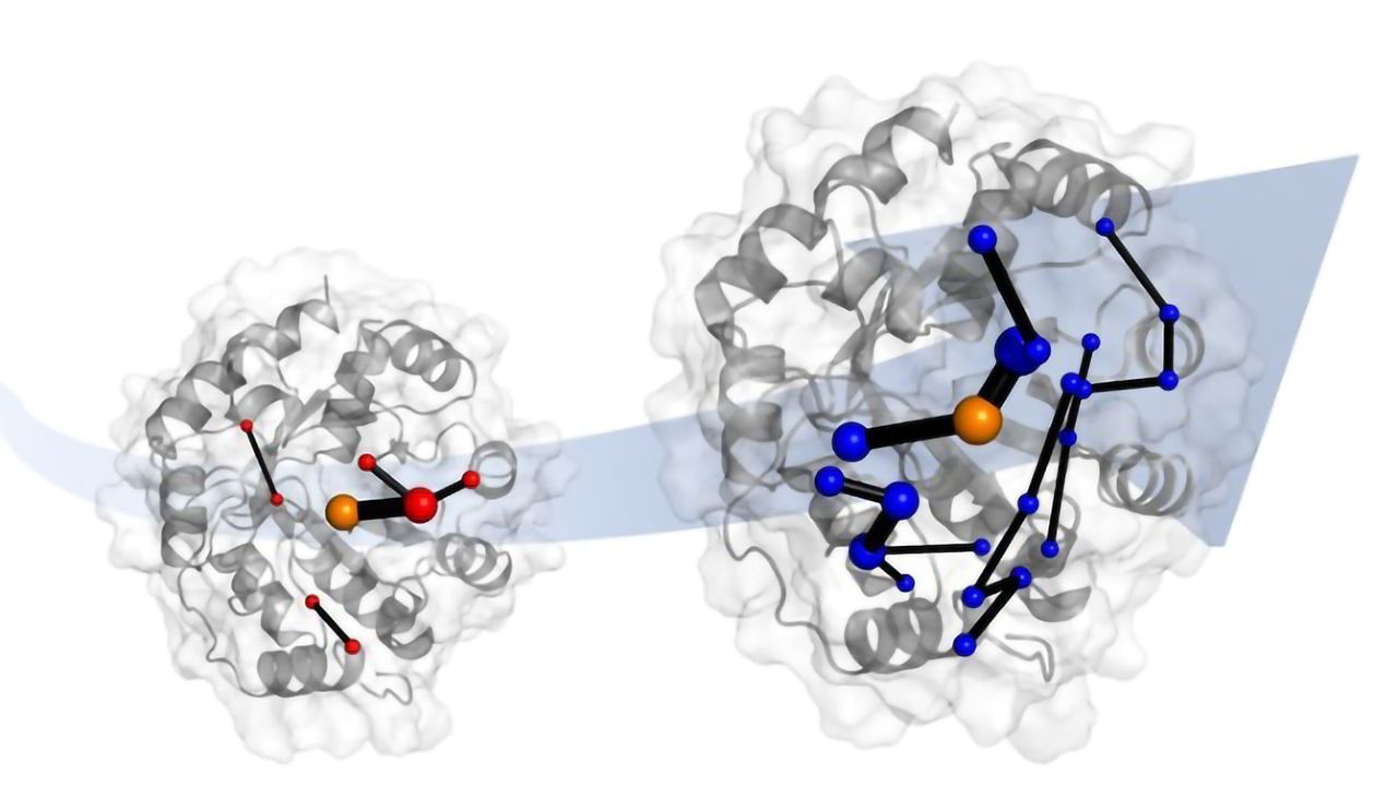 Paving the Way for Green Chemistry