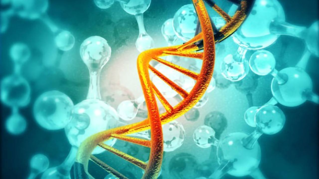 Targeted Libraries and Their Applications for Directed Evolution of Enzymes