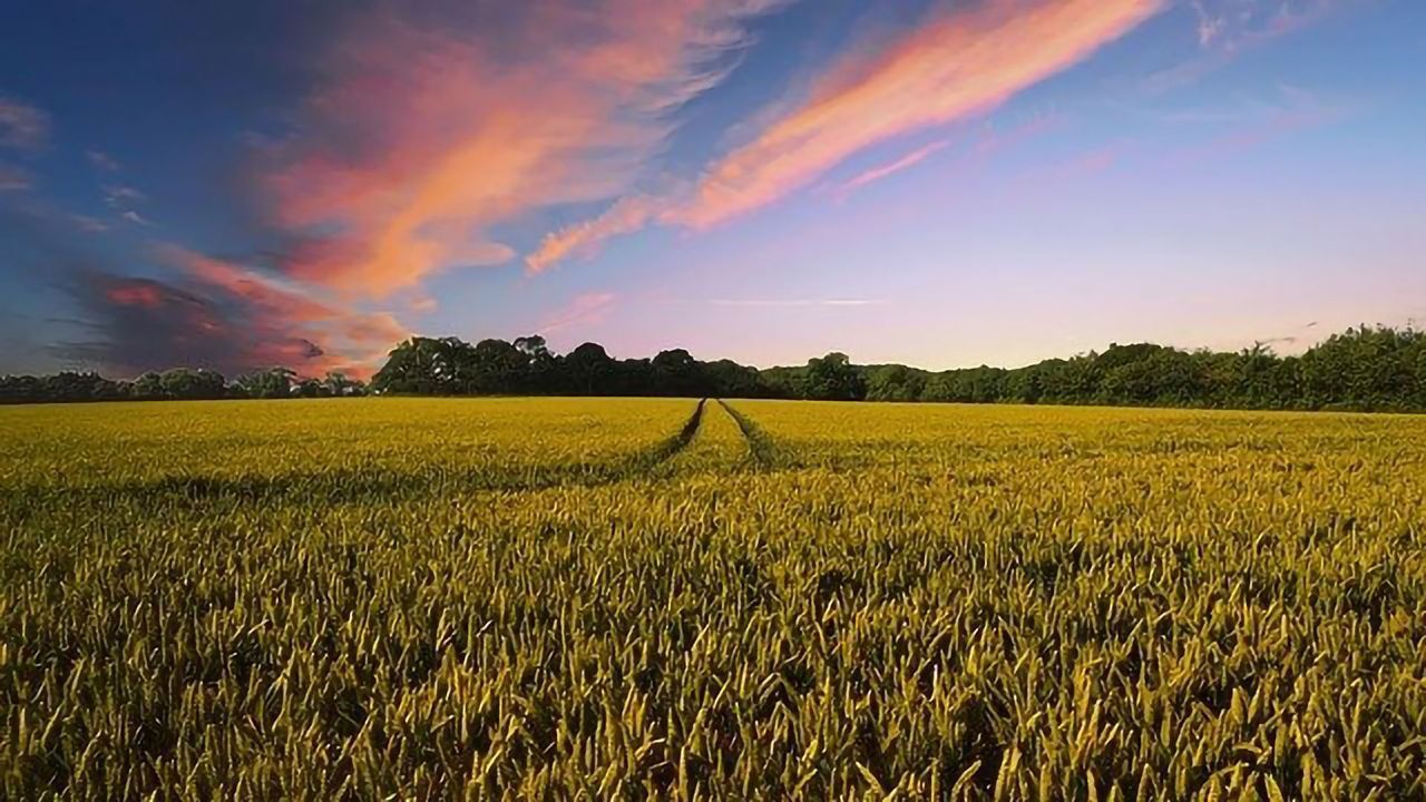 Improving Predictions of Climate Change Impact on Agriculture