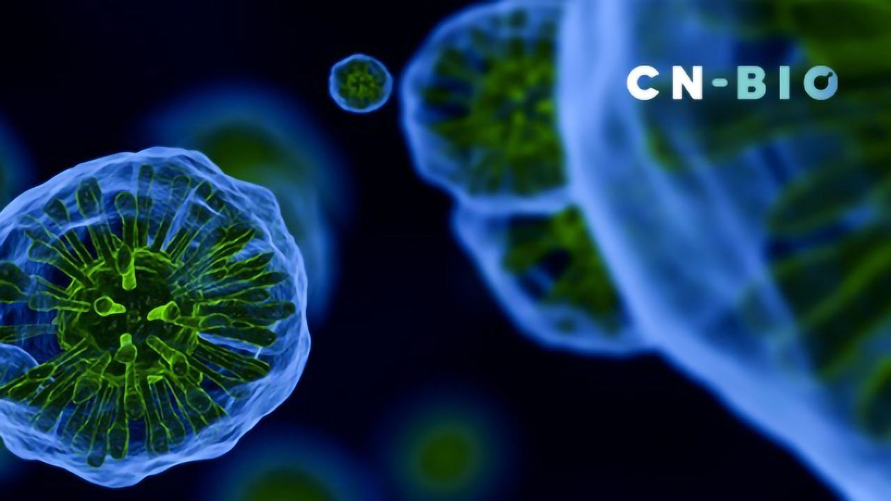 Human Liver Microphysiological System for Studying Acute and Chronic Drug-Induced Liver Toxicity