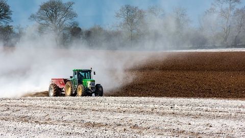 Unrealistic Experiments Hamper Understanding of Environmental Pollution