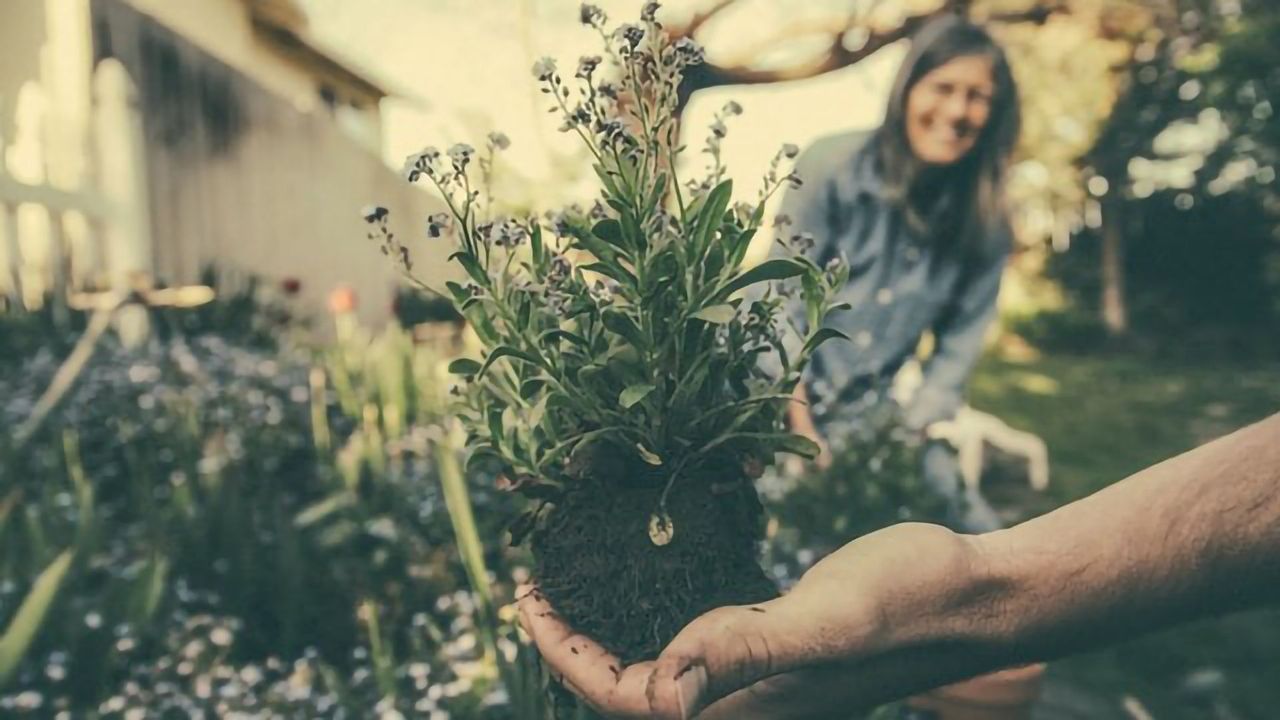 Using the "Smell of Fear" To Protect Crops