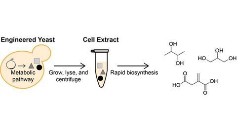 Creating Alternative Petrochemical Processes With Yeast