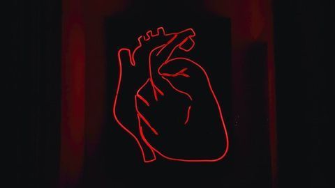 Distinct DNA Signatures Linked to Heart Disease