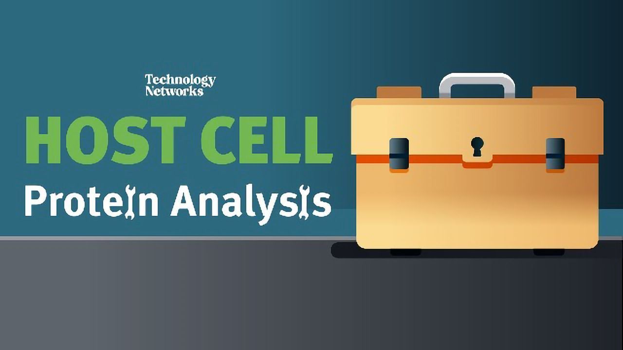宿主细胞蛋白质分析
