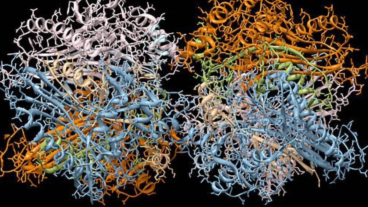 Navigate Toward Metabolomic Discovery