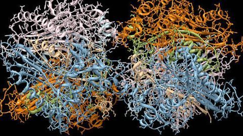 Navigate Toward Metabolomic Discovery