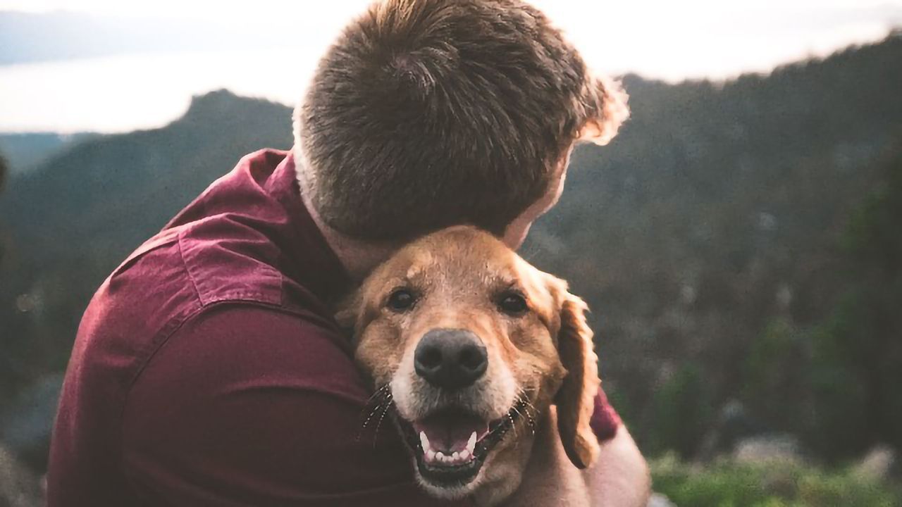 Pet Dogs Can Predict Their Owner's Epileptic Seizures