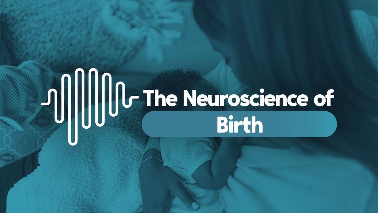 The Neuroscience of... Birth
