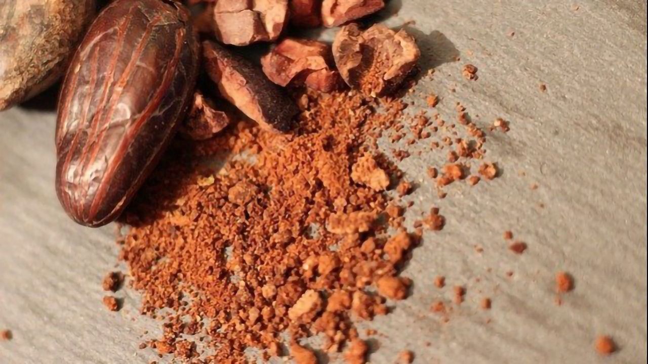 Cocoa Bean's “Fingerprint” Could Track the Chocolate in Your Fridge