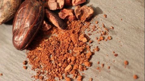 Cocoa Bean's “Fingerprint” Could Track the Chocolate in Your Fridge