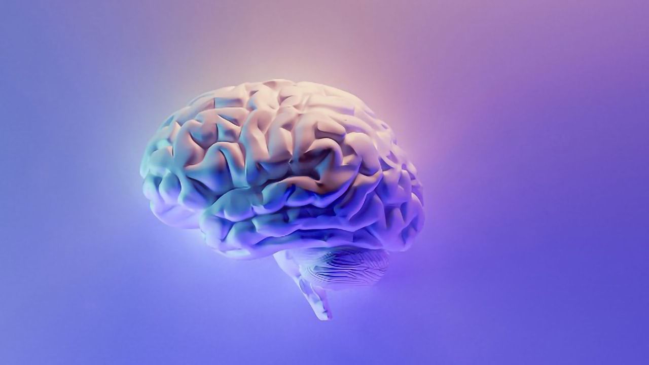 Targeting Brain Cancer at the Root