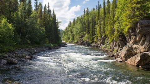 Changing Climate Is Driving Hazardous Rare Earth Metals Into Water Supplies